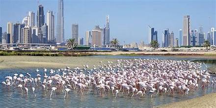 Ras Al Khor